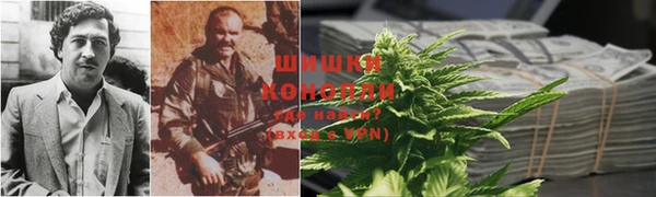 гидропоника Пересвет