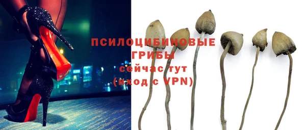 гидропоника Армянск