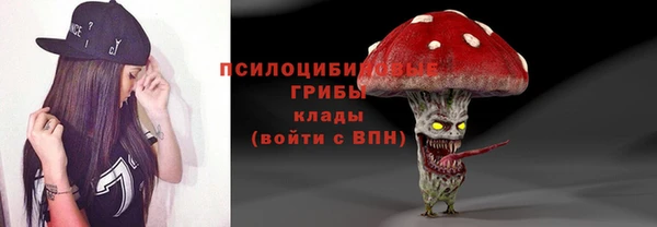 гидропоника Балабаново